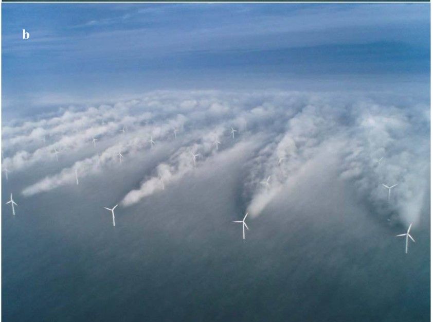 Wind Farm Wake: The Horns Rev Photo Case